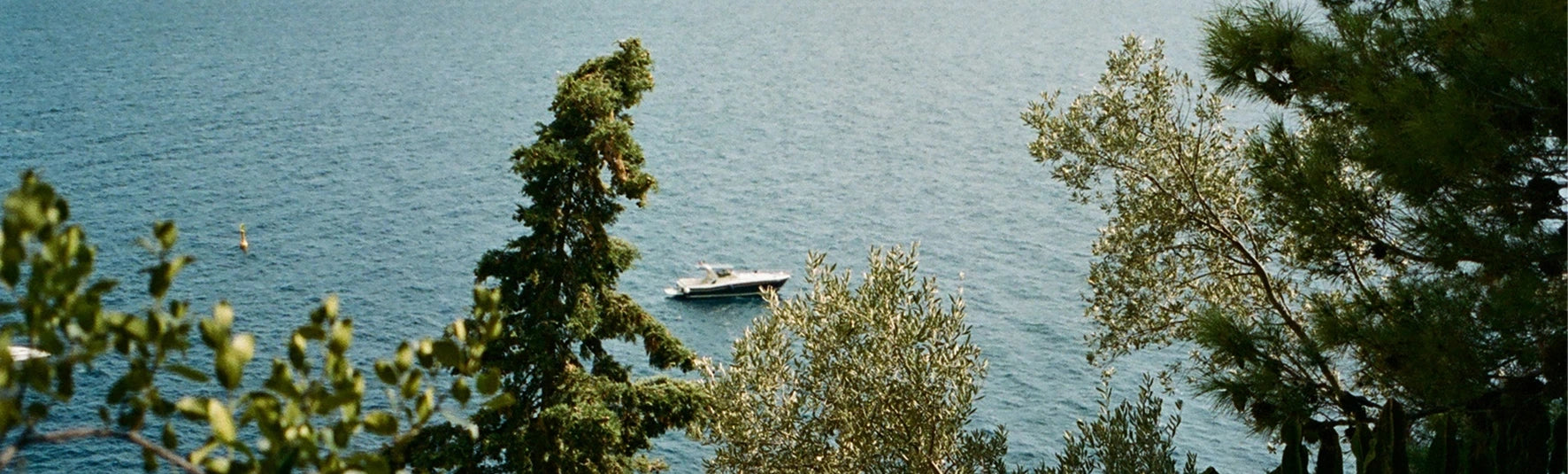 Boot auf einem See mit Bäumen im Vordergrung
