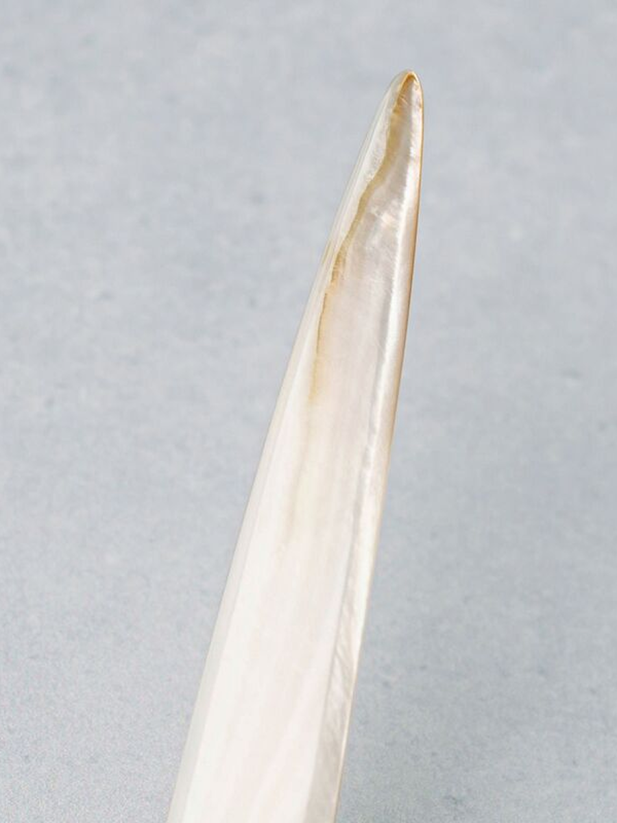 Mother of Pearl Letter Opener