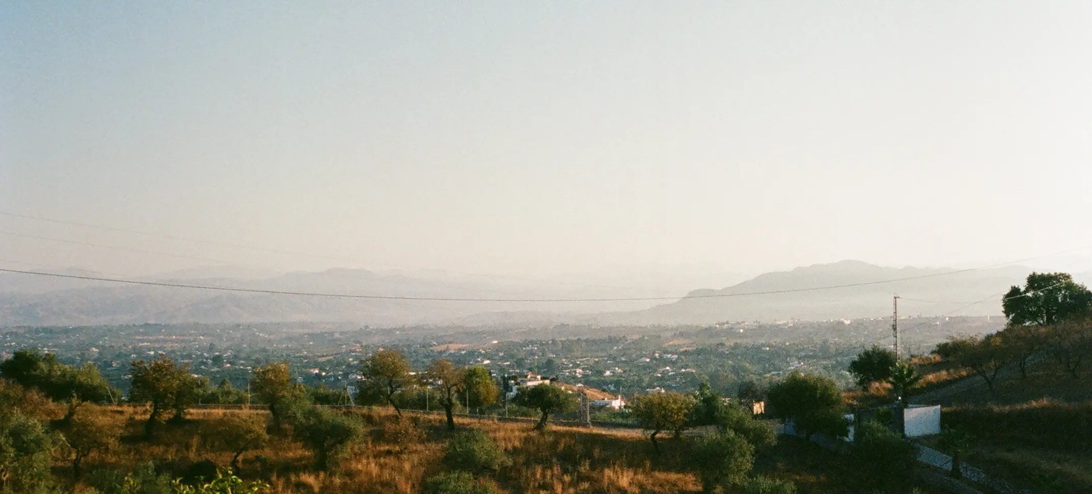 Main-Page-Header-Image-Landscape-Curated-Sale.webp