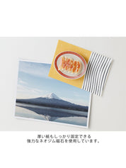 Miniature Magnet Gyoza White