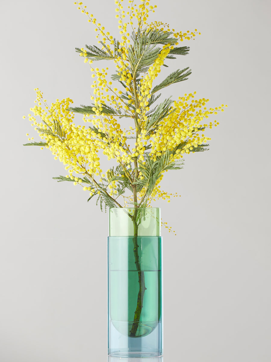 Studio About Bouquet Tube Large Vase Grün Frontansicht Pflanzen