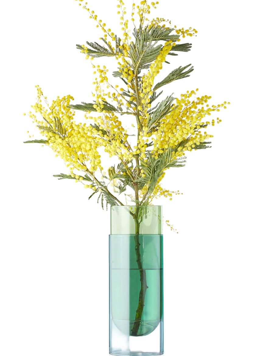 Studio About Bouquet Tube Large Vase Grün Frontansicht Freigestellt