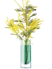 Studio About Bouquet Tube Large Vase Grün Frontansicht Freigestellt