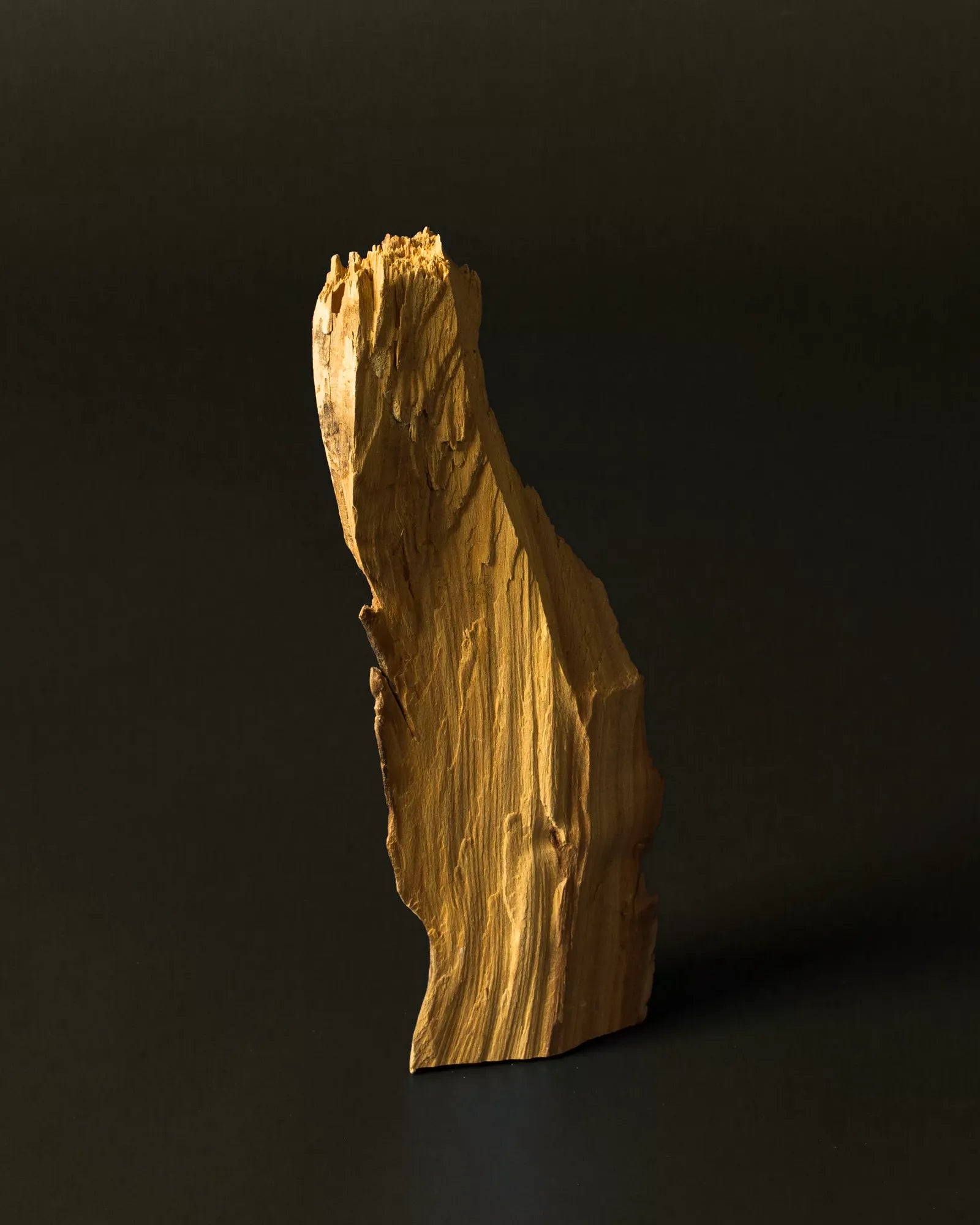 Subtle-Bodies-Details-Holz.webp