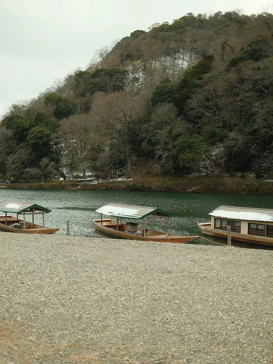 Wasabi-Mood-Landscape-Japan.webp